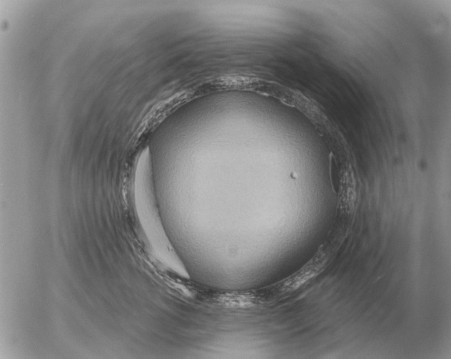 X0000054440762200508270012