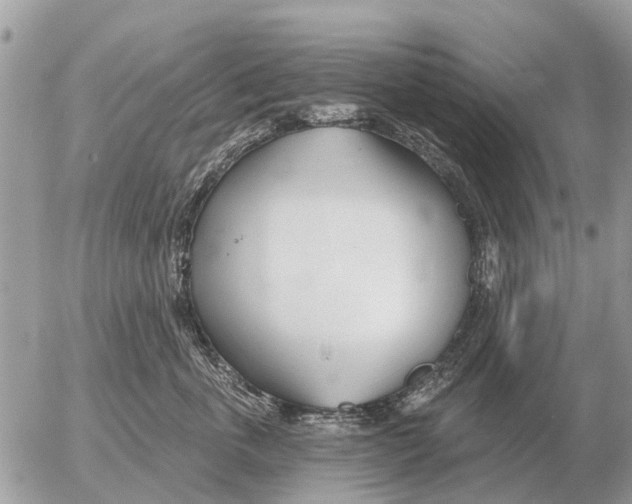 X0000054440763200508270012