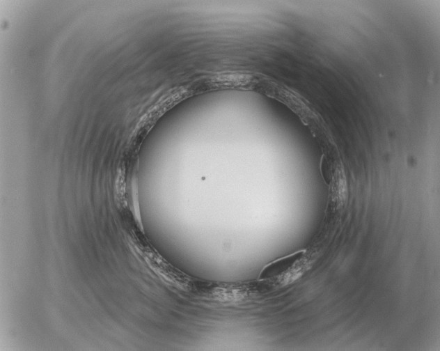 X0000054440764200508270012