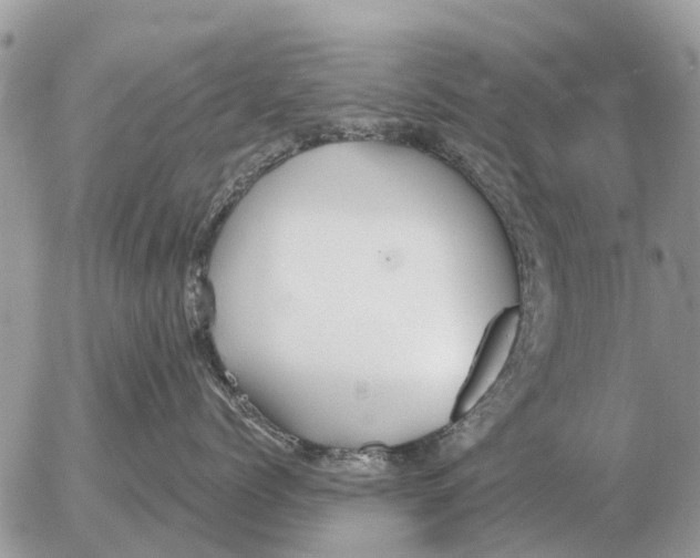 X0000054440768200508270012