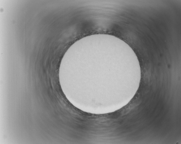 X0000054440769200508270012