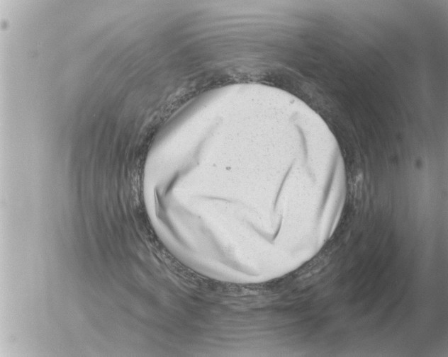 X0000054440772200508270012