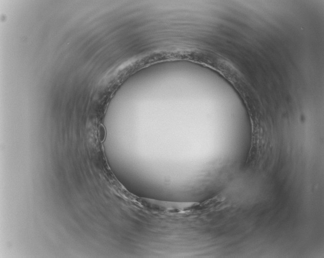 X0000054440773200508270012