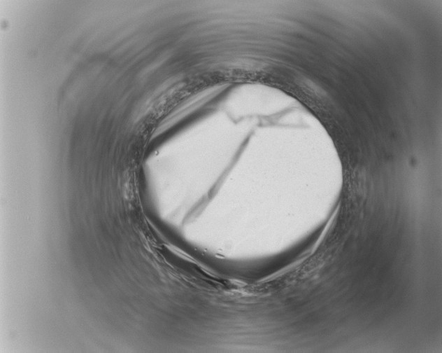 X0000054440774200508270012