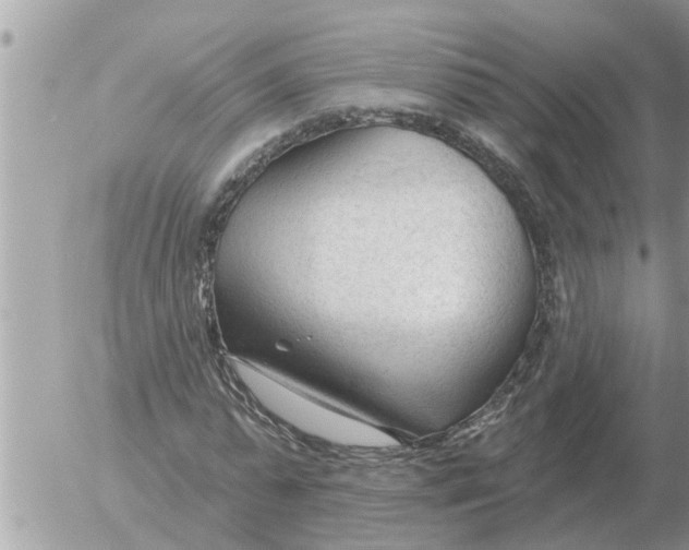 X0000054440775200508270012