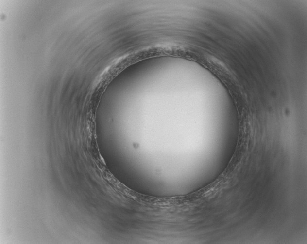 X0000054440776200508270012