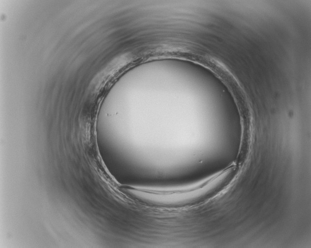 X0000054440777200508270011