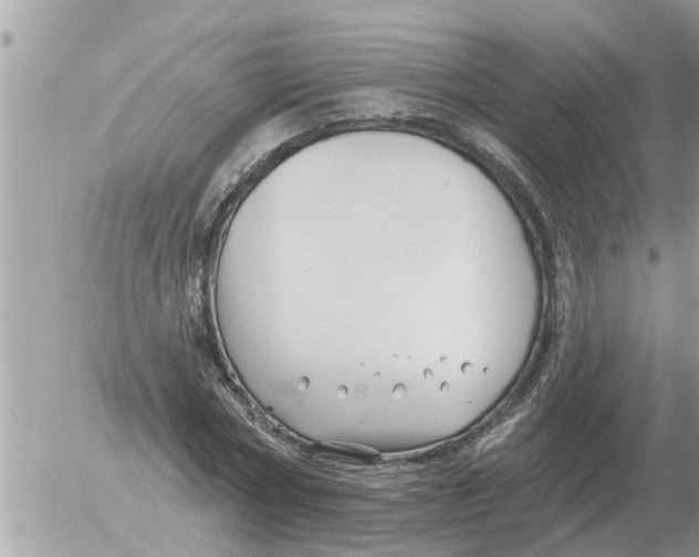 X0000054440778200508270011