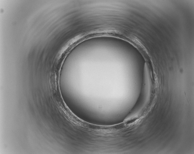 X0000054440781200508270011