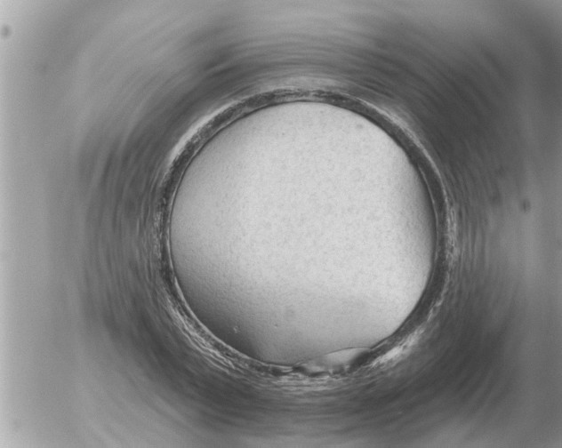 X0000054440783200508270011