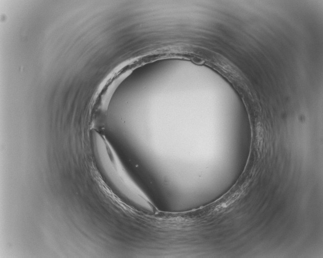 X0000054440784200508270011