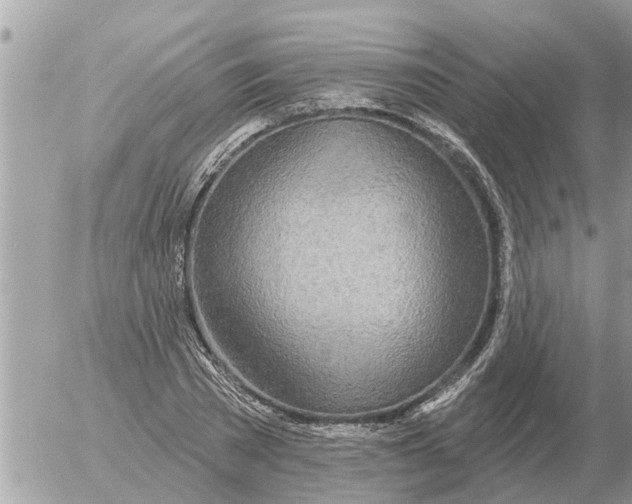 X0000054440785200508270011