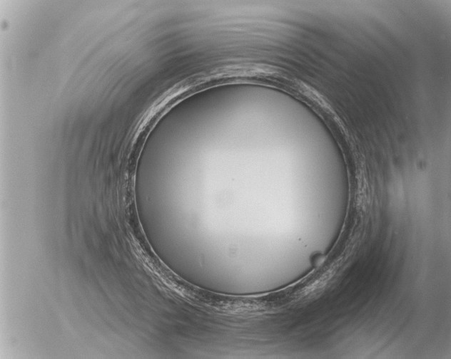 X0000054440786200508270011