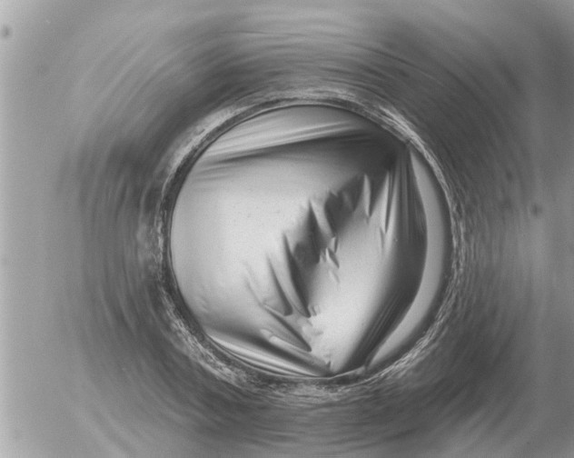 X0000054440787200508270011