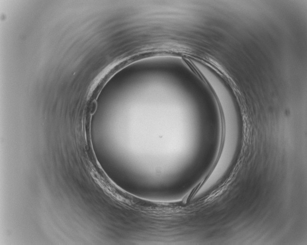 X0000054440788200508270011