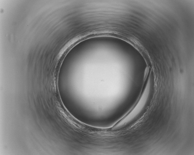 X0000054440789200508270011