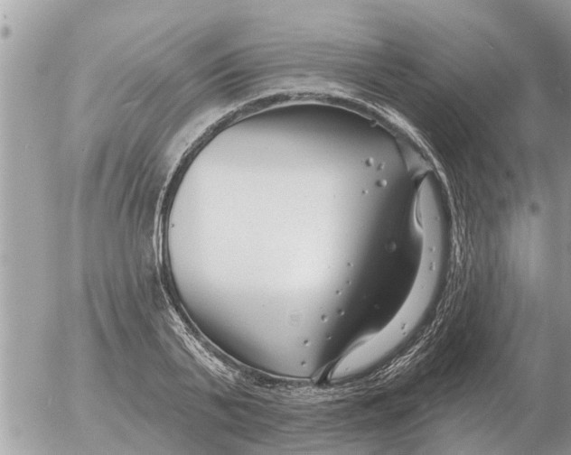 X0000054440791200508270011