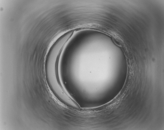 X0000054440792200508270011