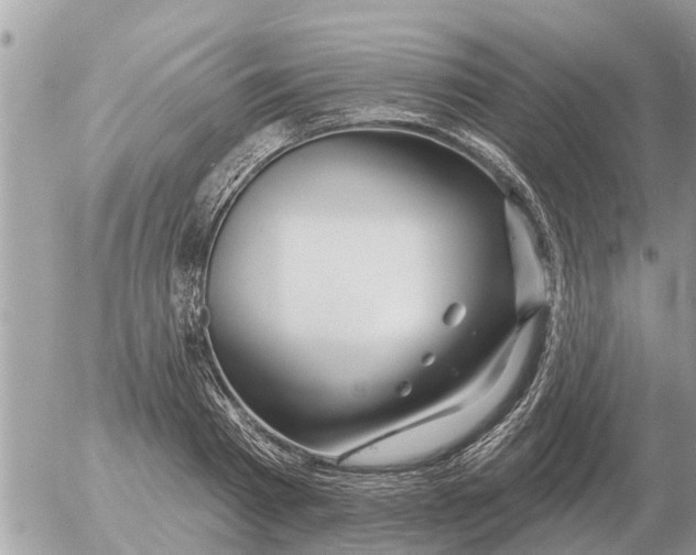 X0000054440793200508270011