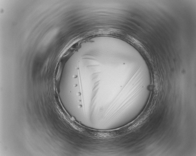 X0000054440794200508270011