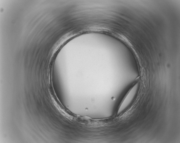 X0000054440795200508270011