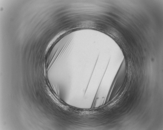 X0000054440796200508270011