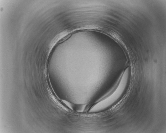 X0000054440797200508270011