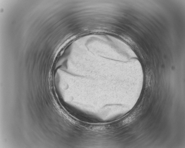 X0000054440798200508270011