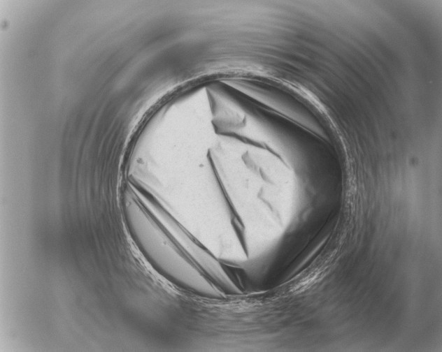 X0000054440799200508270011