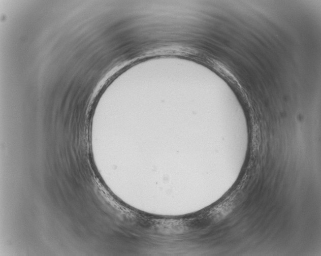 X0000054440800200508270011