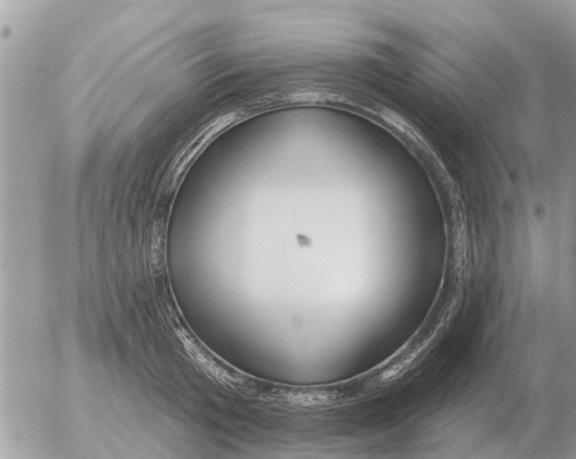 X0000054440801200508270011