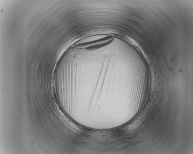 X0000054440802200508270011