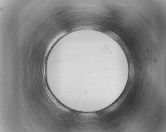 X0000054440804200508270011