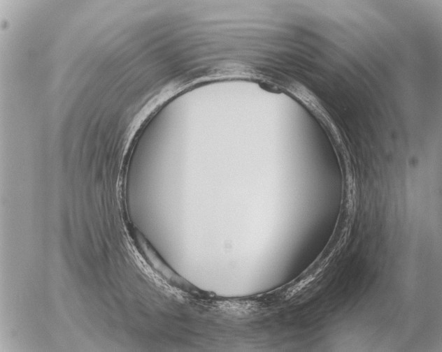 X0000054440805200508270011