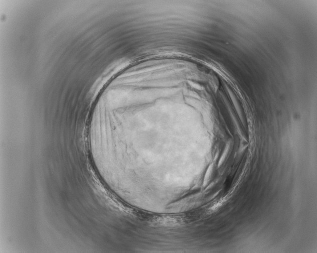 X0000054440806200508270011