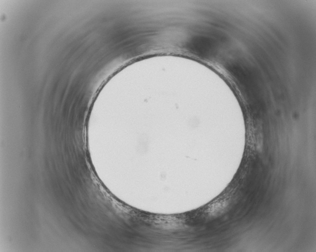 X0000054440807200508270011