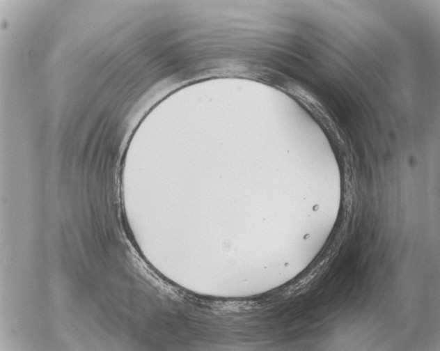 X0000054440808200508270011