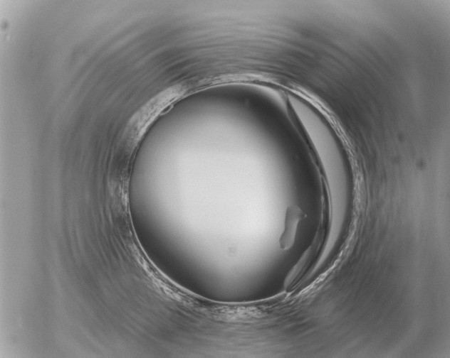 X0000054440809200508270011