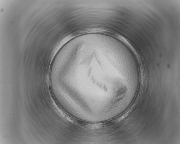 X0000054440810200508270011