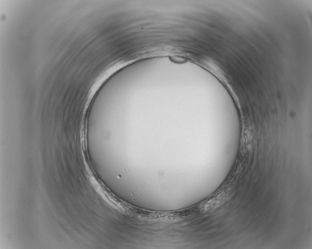 X0000054440811200508270011