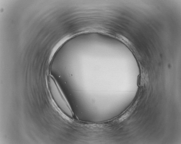 X0000054440812200508270011