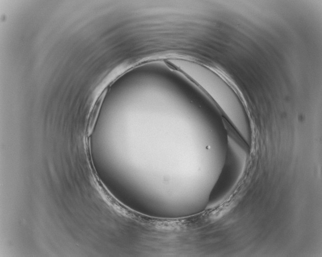 X0000054440813200508270011