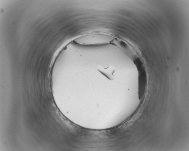 X0000054440816200508270011