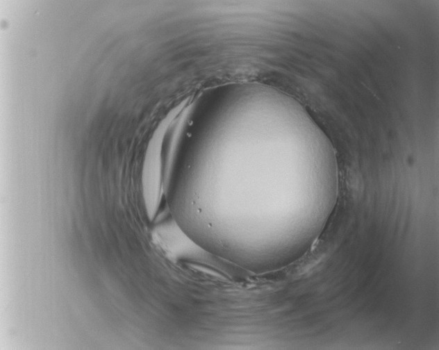 X0000054440818200508270010