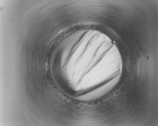 X0000054440821200508270010