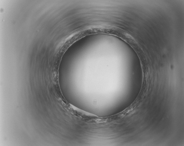 X0000054440822200508270010