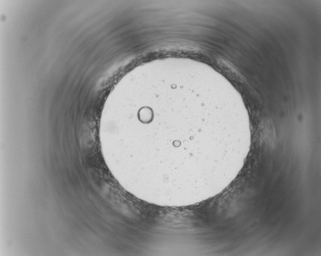 X0000054440824200508270010