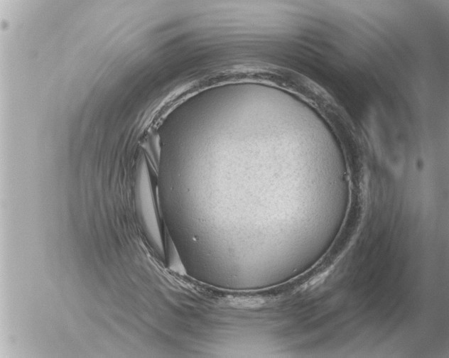 X0000054440825200508270010