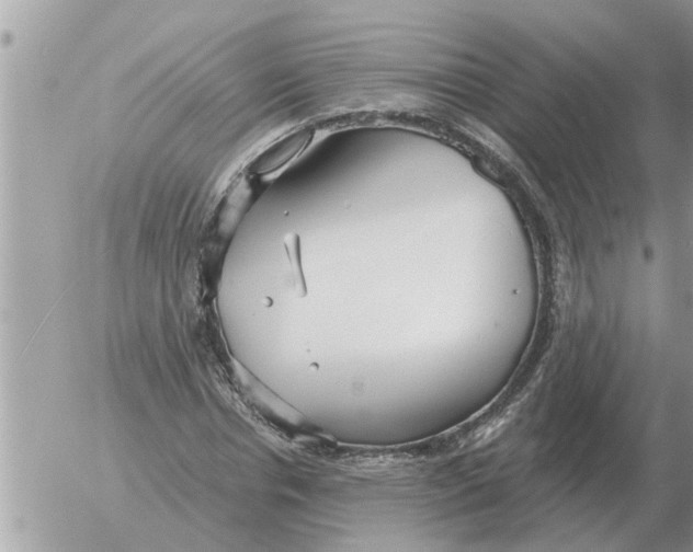 X0000054440826200508270010