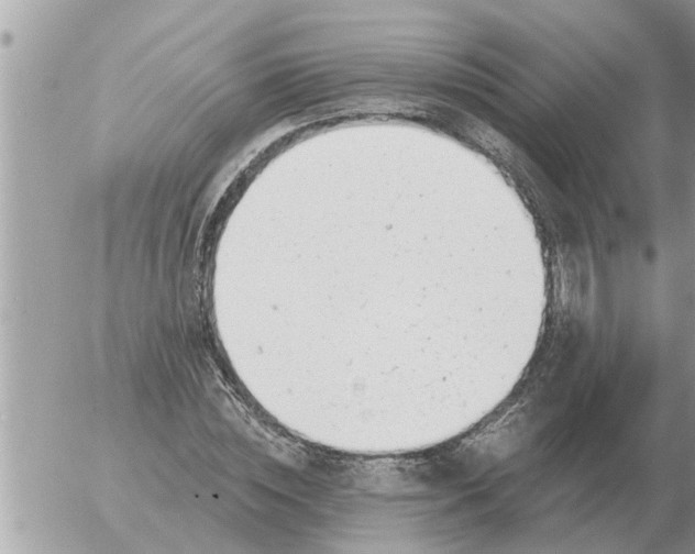 X0000054440828200508270010